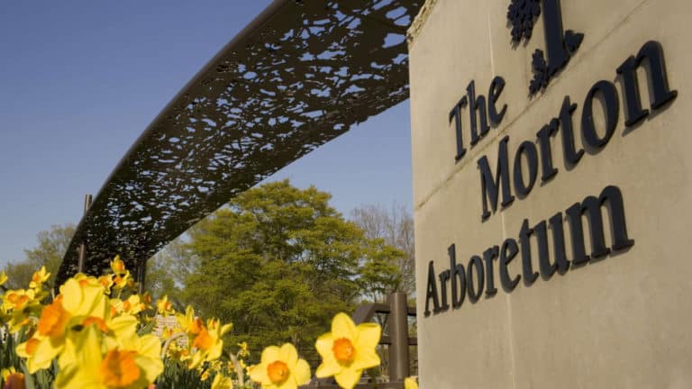 Entrance sign at The Morton Arboretum
